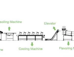 Banana & Plantain Chips Production Line thumbnail-2