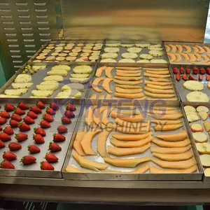 Fully Automatic Cassava Potato Onion Konjac Cleaning Slicing and Drying Production Line thumbnail-3