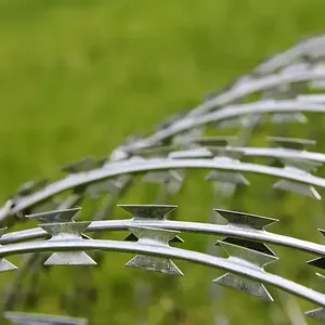 Barbed Wire thumbnail-1