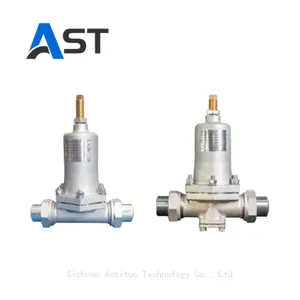 Cryogenic Pressure Regulation Reducing Valve thumbnail-1