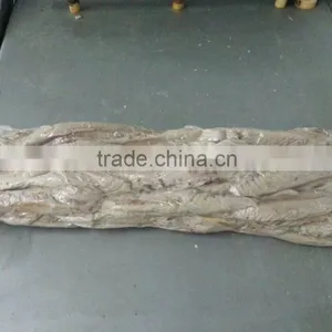 Hot Sale Skipjack Tuna Loins in China thumbnail-1