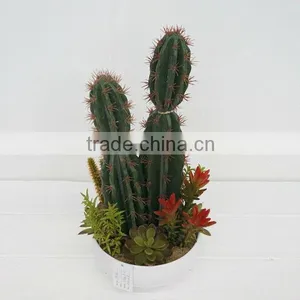 2014 Latest Green Mixing Artificial Plants Cactus Plants Wholesale thumbnail-3