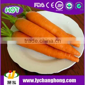 2014 Fresh Red Carrot for Hot Sale thumbnail-1