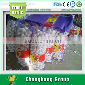 10kg/mesh Bag Fresh Pure White Garlic With Lowest Price 2016 thumbnail-1