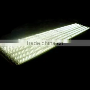 LED Lights thumbnail-1