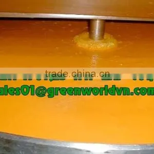 HOT SELL IQF PASSION FRUIT PUREE FROM VIETNAM thumbnail-3