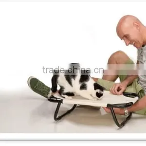 Lassie thumbnail-4