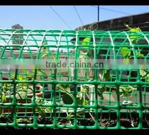 PP & HDPE Plastic Extruded Net for Garden Fence thumbnail-5