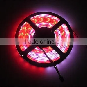 Best Price High Brightness Flexible Led Strip Light IP65/IP20/IP67/IP68 Led Rope thumbnail-1