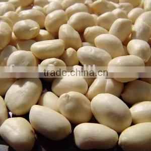 Blanched Peanut thumbnail-1