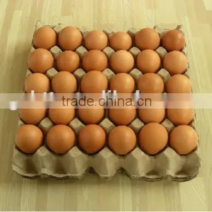 Egg Tray Making Machine/Low Price Waste Paper Making Egg Tray Machine thumbnail-5