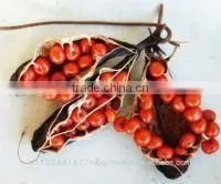 Gloriosa Superba Seed Exporters India thumbnail-2