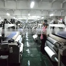 Wujiang Hasenzm Fashion Fabric Co., Ltd. company overview - view 1 thumbnail