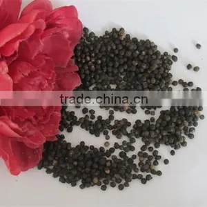 Malabar Spinach Seeds Vegetable Seeds for Planting thumbnail-5
