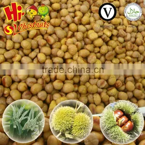 Quicking Freeze Peeled Chestnuts--the Best Quality Frozen Chestnuts thumbnail-1