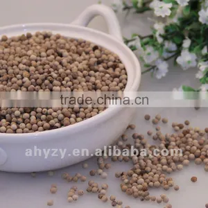 White Pepper (baihujiao) thumbnail-1