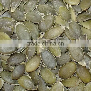 Pumpkin Seeds thumbnail-1