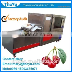 Professional Durable Cheery Stone Removing Machine(SMS: 0086-15903675071) thumbnail-1
