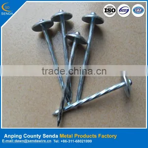 Galvanized Roofing Nails/ Iron Wire Nails Factory From Anping thumbnail-2