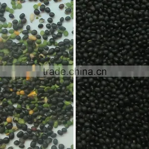 New Software CCD Beans Color Sorting Machine / Raisin Color Sorter / Rice Color Sorter With Factory Price thumbnail-3