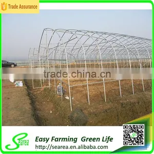 Arch Pips Greenhouse for Crops thumbnail-4