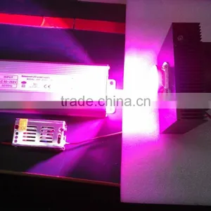 Aluminium Cob Led Light Heat Sink Cob Grow Light Kit 100w Cob Led Full Spectrum thumbnail-2