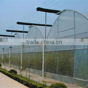 Baolida Cheap Vegetables Tunnel Greenhouse thumbnail-4