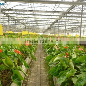 Easily Assembled Polycarbonate PC Sheet Greenhouse For Agriculture thumbnail-3