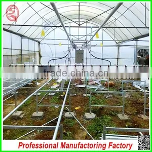 Single-span Large Tunnel Solar Greenhouse for Flower/vegetable Growing thumbnail-4