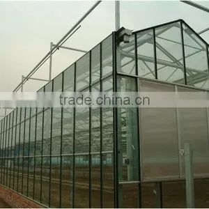 Commercial Greenhouse for Agriculture thumbnail-5