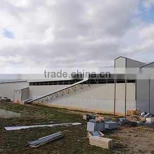 BT Factory Chicken Farming for Broiler Chicken thumbnail-2