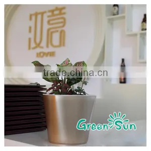 Best Selling Flower Pot With Water Level Indicator,self Watering Planter,plastic Flower Pot,nursery Pots thumbnail-4