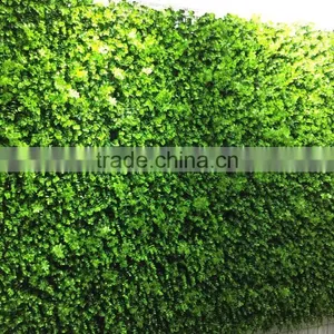 Ornamental Plants Wall thumbnail-5