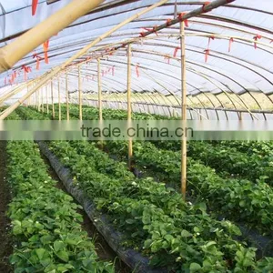 Ground Cover Fabric Grass Weed Control Mat thumbnail-3