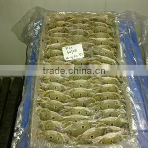 Three Spot Crab thumbnail-1