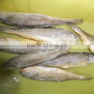 Deep Sea Frozen and Iqf Sea Fish Food thumbnail-1