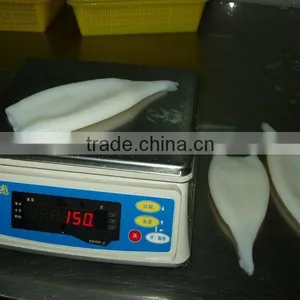 Frozen Squid for Sale thumbnail-1