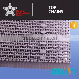 T-300 Plastic Belt With Flights and Hooks/modular Plastic Conveyor Belt thumbnail-2