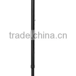 Fischer Walking Stick thumbnail-1