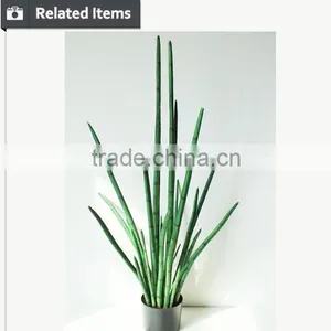 Manufacturing Maguey Garden Decoration Indoor Decoration Handmade Plant for Sale thumbnail-1