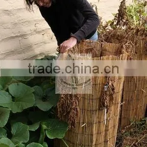 Reed Mat thumbnail-1