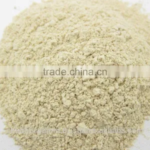 Garlic Powder thumbnail-1