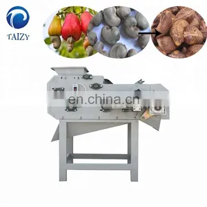 Taizy Automatic Cashewnuts Huller Sheller Artificial Nut Cracker Cracking Cashew Shelling Machine Price thumbnail-3