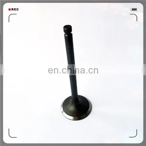 Oem 13715-54040 13711-54020 Engine Valve for Toyota 2L 3L 1KZTE thumbnail-2