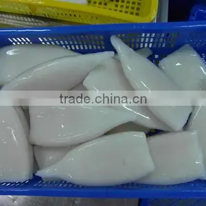 Good Taste Frozen Squid Tube thumbnail-1