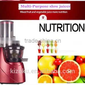 China 300w Stainless Steel Housing Slow Juicer thumbnail-5