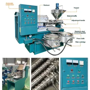 Pine Nut Soybean Oil Extraction Palm Kernel Oil Press Machine Hot and Cold Oil Production Line for Small Business thumbnail-3