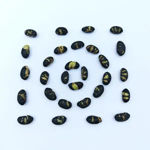 Premium Non-fried Large Black Soy Bean Snacks Roasted Saline Flavor for Global Supermarkets and Retailers thumbnail-3