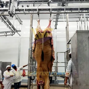 Whole Cow Slaughtering Line CE Certification Cattle Abattoir Machinery Beef Butcher Equipment Meat Processing Factory thumbnail-2