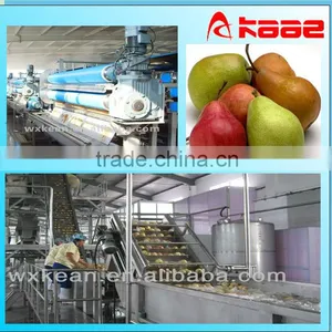 Turnkey Project Industrial Pear Juice Whole Line thumbnail-1